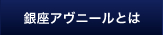 Aj[Ƃ